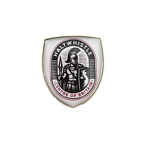 Lapel Pin