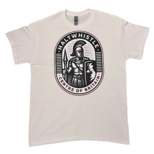 Adult Tshirt Gildan