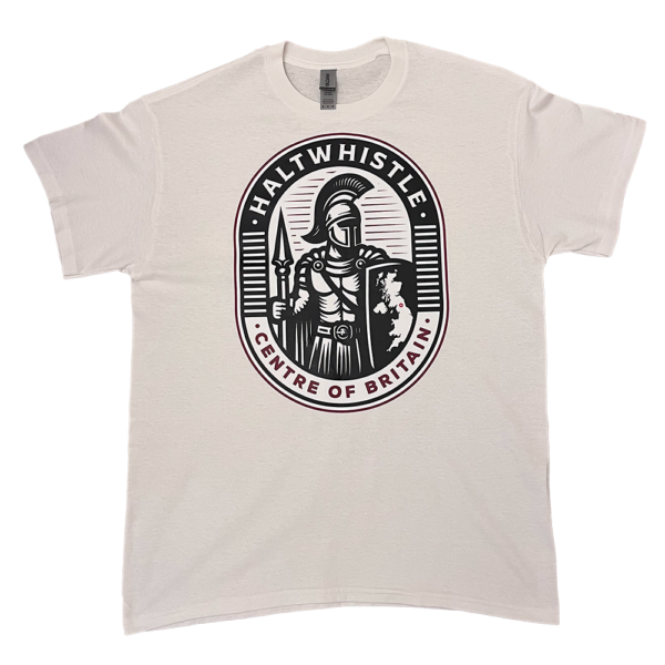 Adult Tshirt Gildan